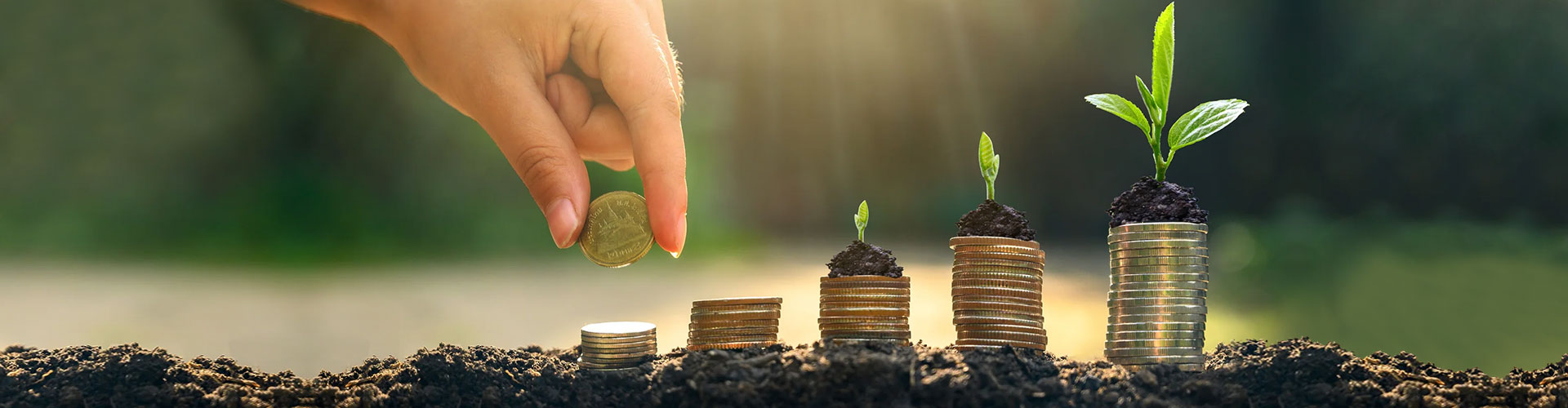 banner-investment